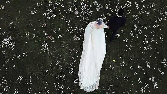 草地婚礼婚纱俯拍视频的预览图