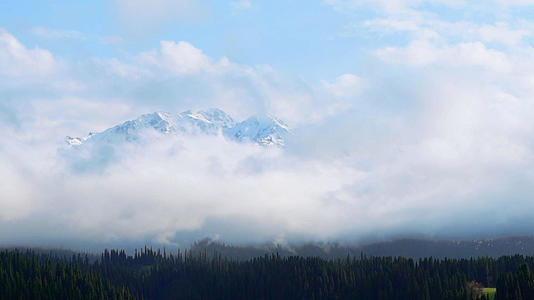 夏季旅游国家级4A自然保护区伊犁雪岭云杉延时视频的预览图