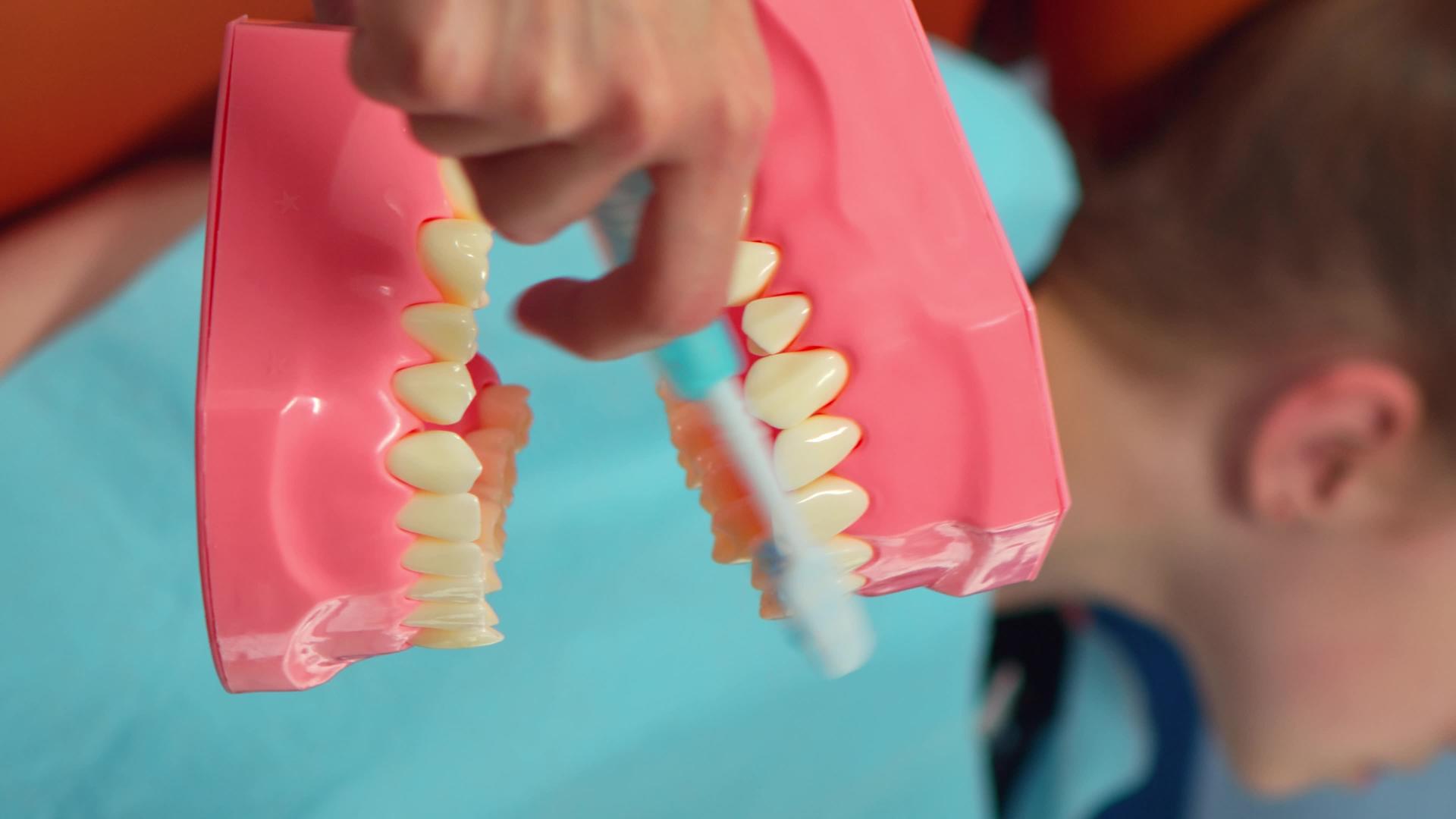 垂直视频儿科牙医使用假骨显示正确的牙科卫生；【垂直版】【垂直版】视频的预览图