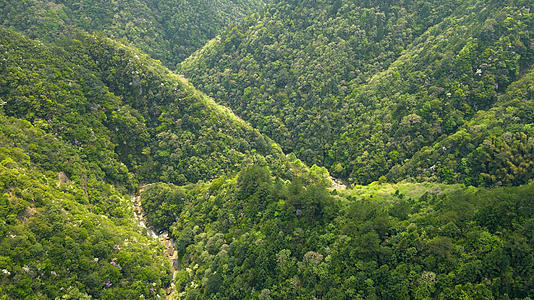 浙南自然森林峡谷航拍4K视频的预览图