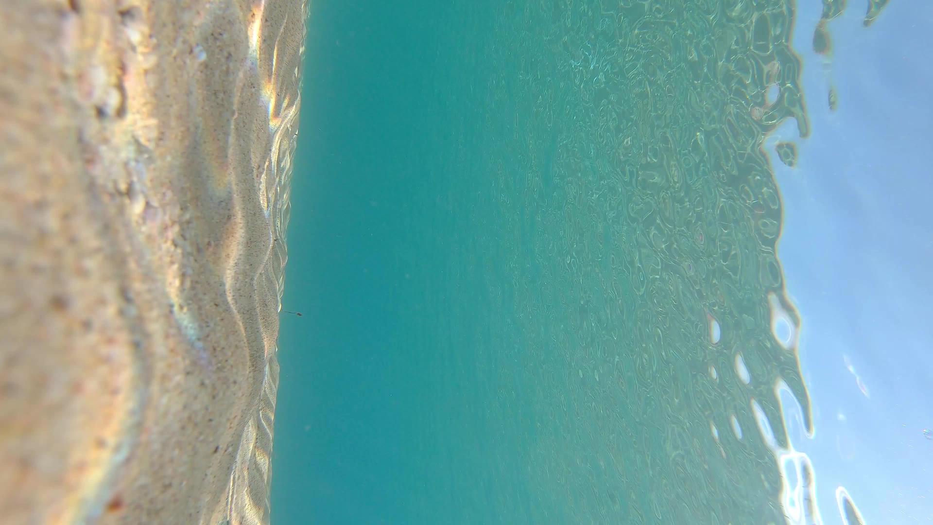 海滩上透明的蓝水视频的预览图