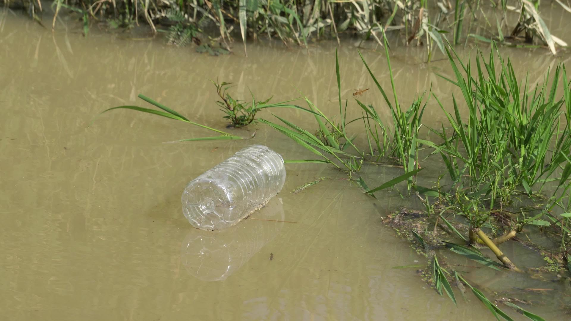 棕河上的塑料瓶视频的预览图