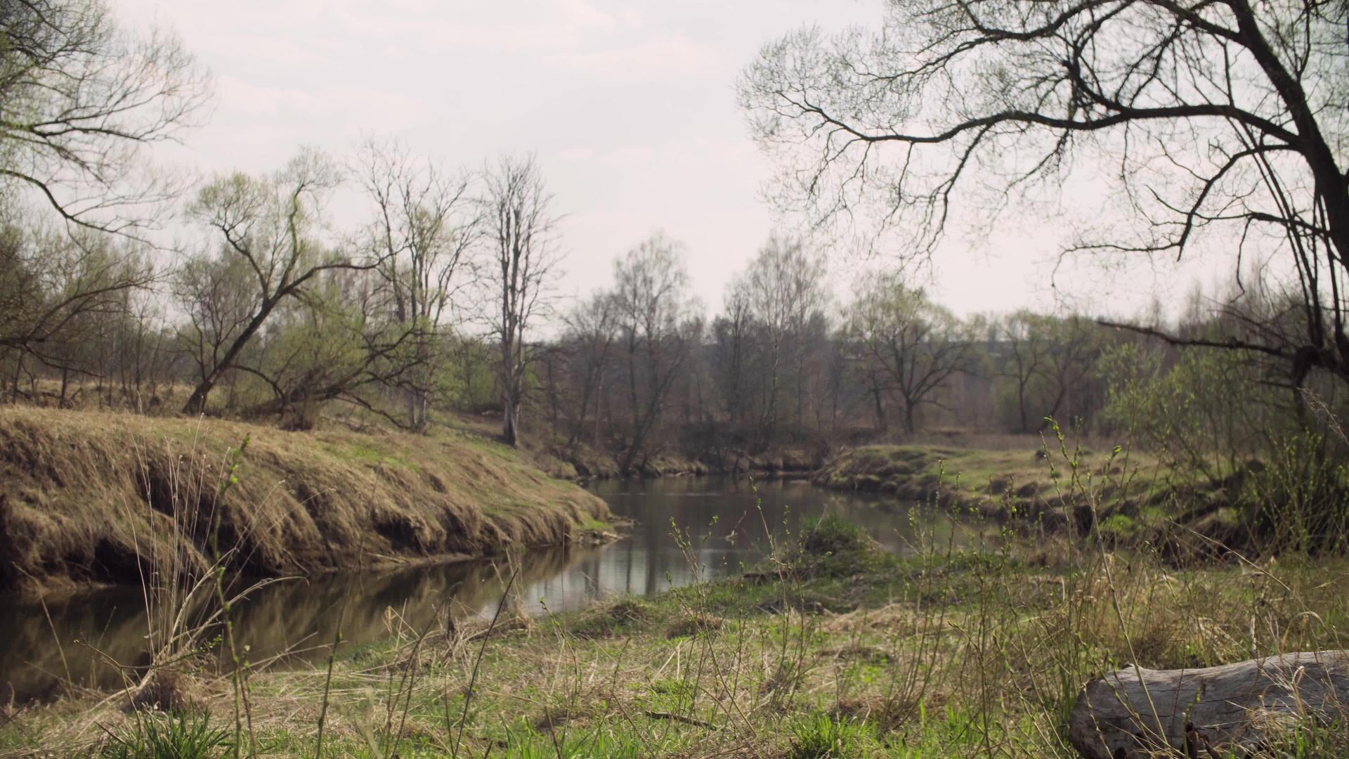 春天垃圾散落在森林河中的草地上视频的预览图
