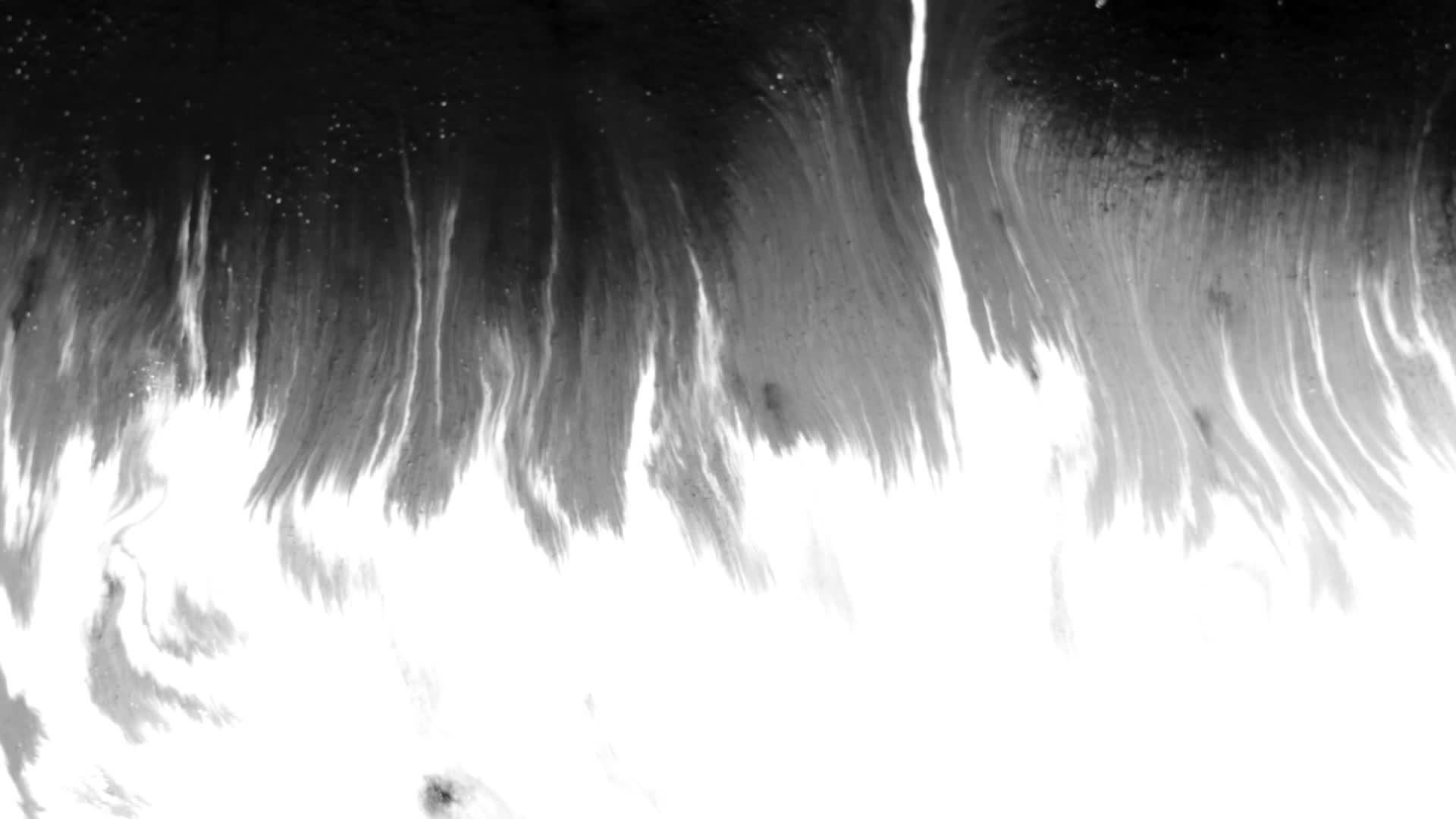 一滴黑色丙烯涂料散落在白色表面hd视频的预览图