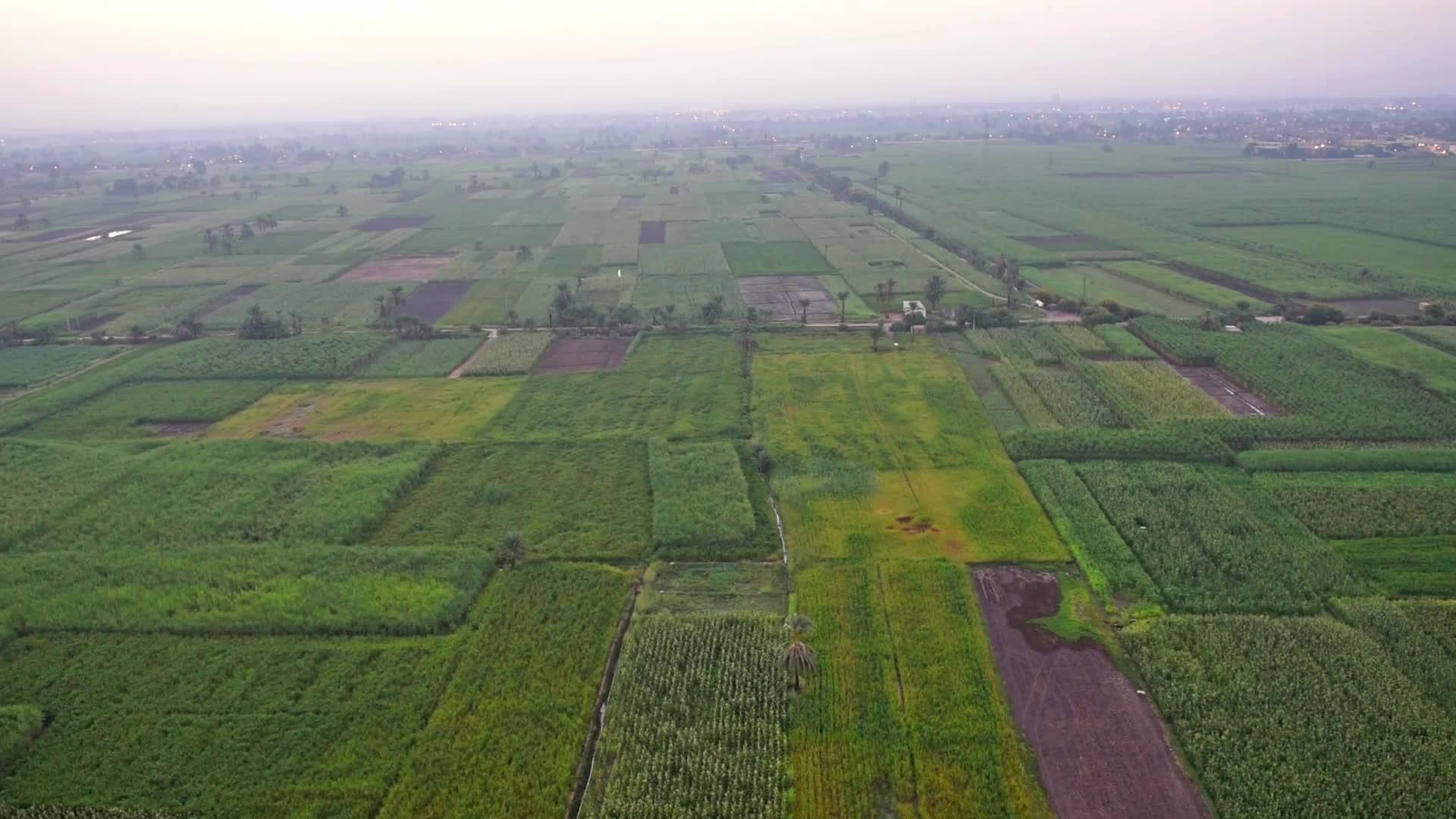 观察农村农田面积的空气视频的预览图