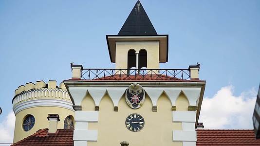 俄罗斯古老的宫殿在巴夫洛夫斯基的圣彼得斯堡附近视频的预览图