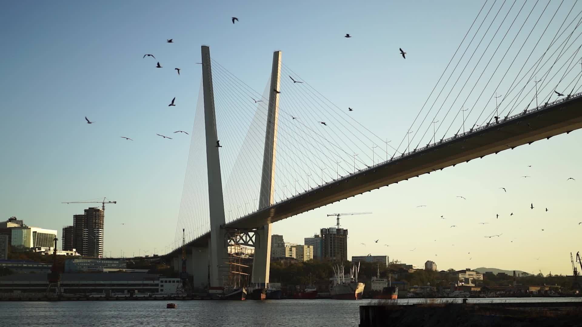 看看金桥俄罗斯维拉迪沃斯托克Vladivostok视频的预览图