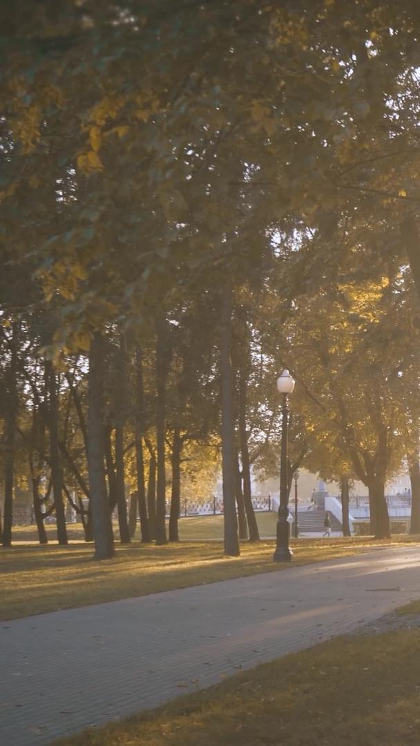 夕阳黄昏秋天公园里骑自行车休息的人视频的预览图