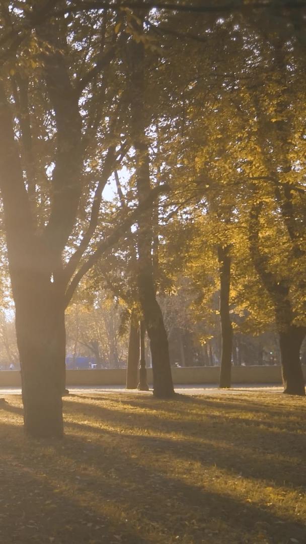 夕阳黄昏秋天公园里骑自行车休息的人视频的预览图