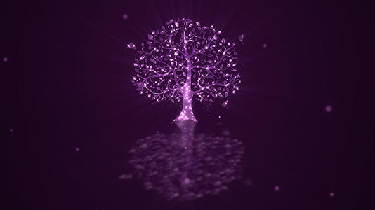 唯美光效夜景树视频的预览图