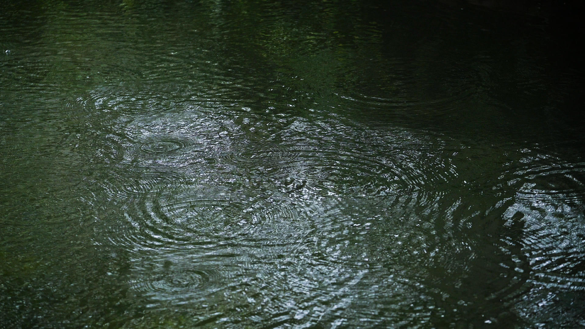 4k下雨的湖面泛起涟漪视频的预览图