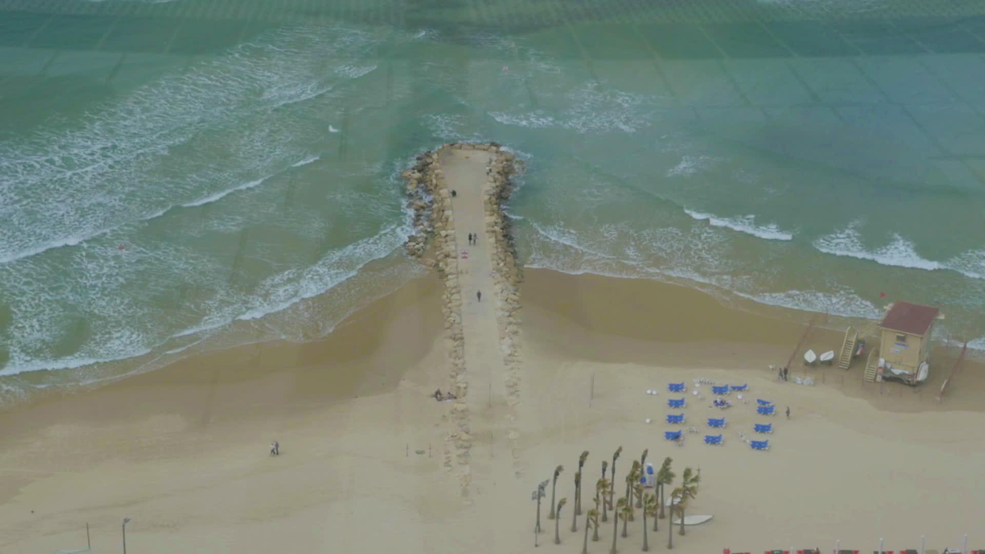 岩石码头的海滨和海滨观鸟视频的预览图