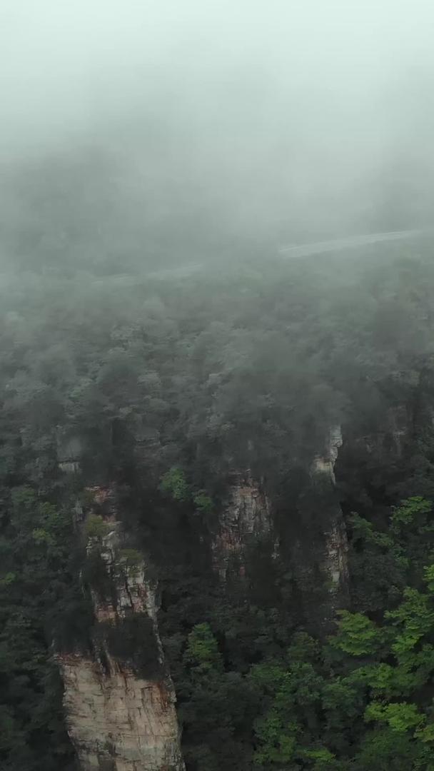 张家界森林公园航拍穿云云视频的预览图