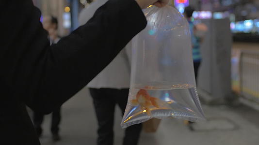 在城市街道上一名妇女在塑料袋里钓鱼视频的预览图