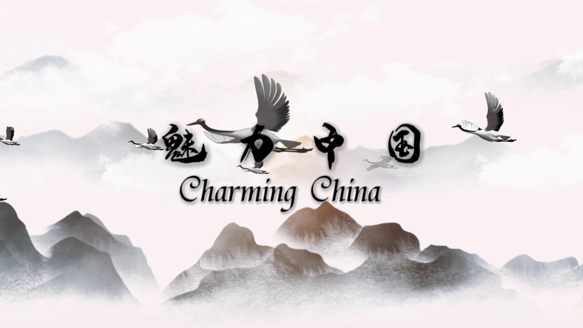 大气震撼中国风水墨穿梭片头展示视频的预览图