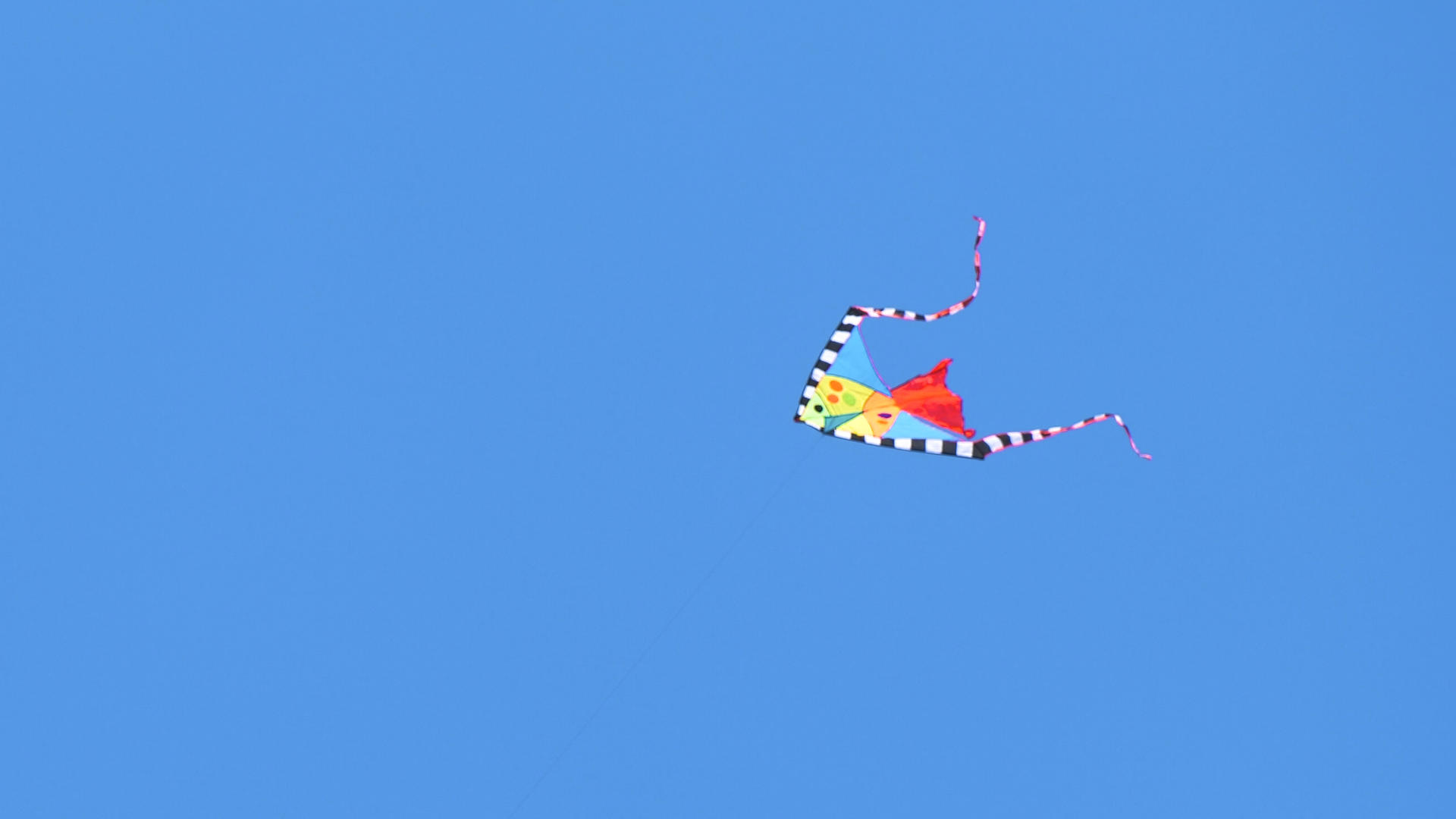 4k实拍春天蓝天下的风筝视频的预览图