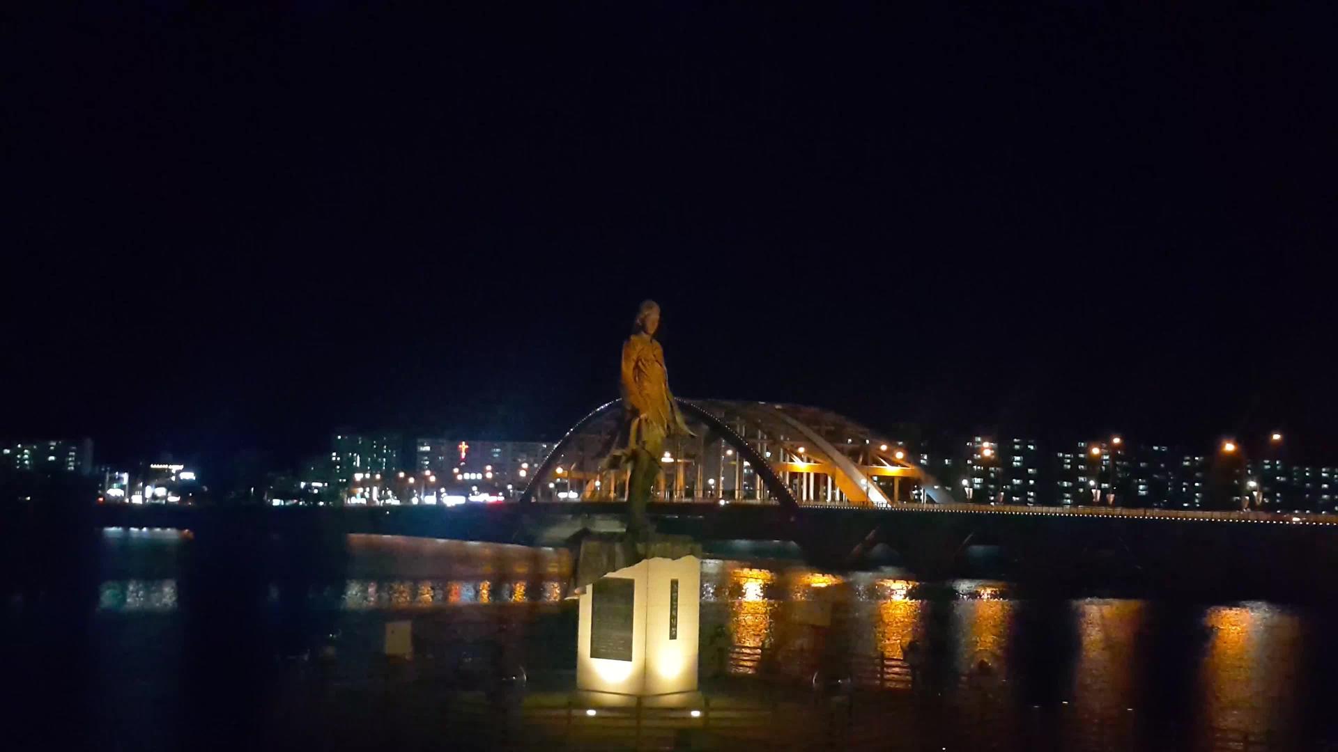 一尊美丽的雕像在韩国城市的夜景视频的预览图