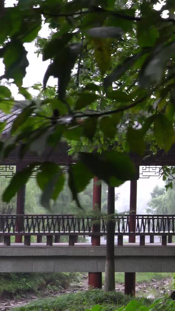 细雨绵绵的女孩公园游玩视频的预览图