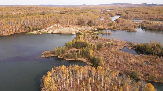 秋天被森林包围的湖泊视频的预览图