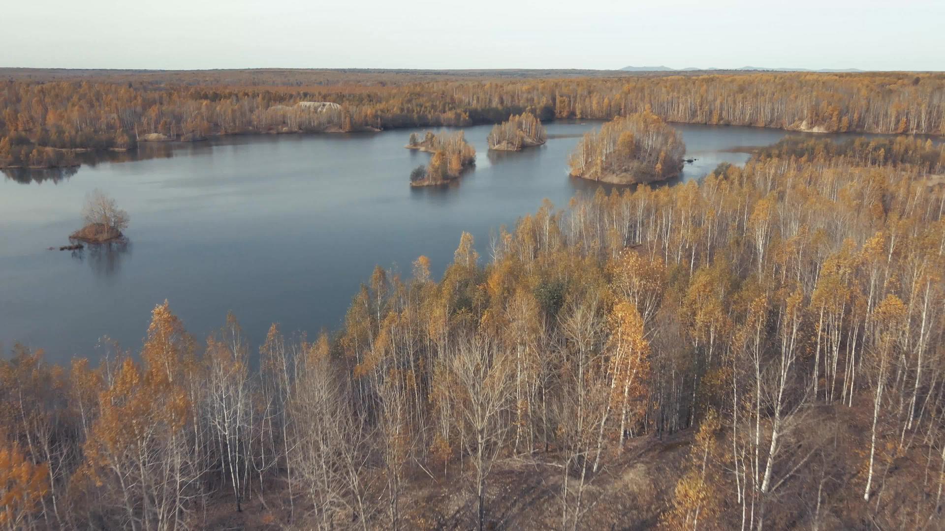 秋天的森林里有一个矿场视频的预览图