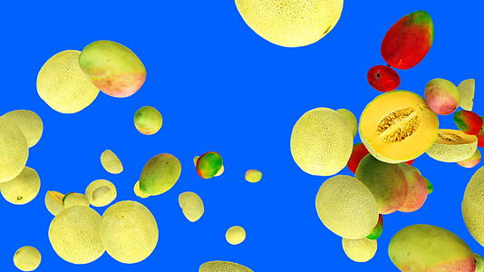 芒果和甜瓜在蓝色屏幕上缓慢飞动视频的预览图
