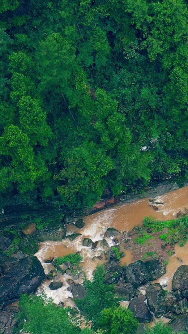雨后森林中的航拍河流视频素材视频的预览图