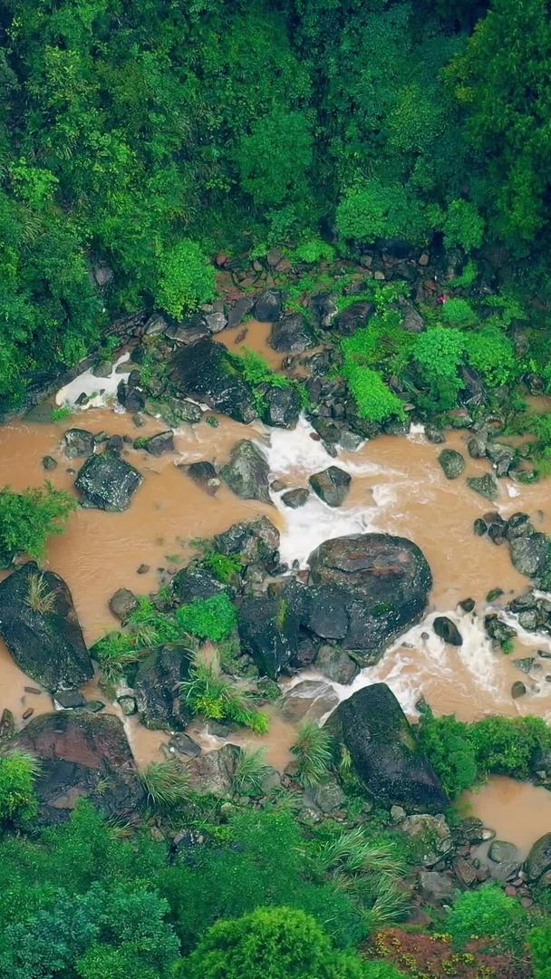 雨后森林中的航拍河流视频素材视频的预览图