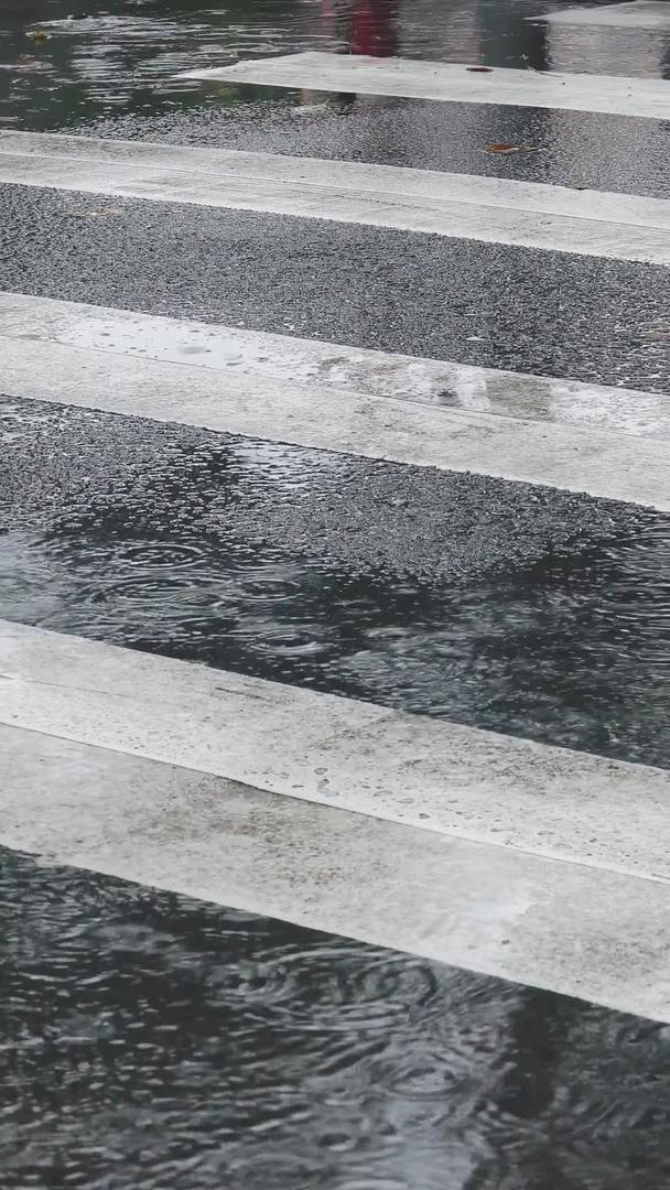 城市斑马线谷雨雨水视频的预览图