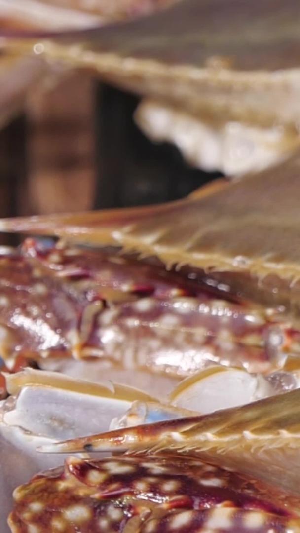 美味梭子蟹视频的预览图