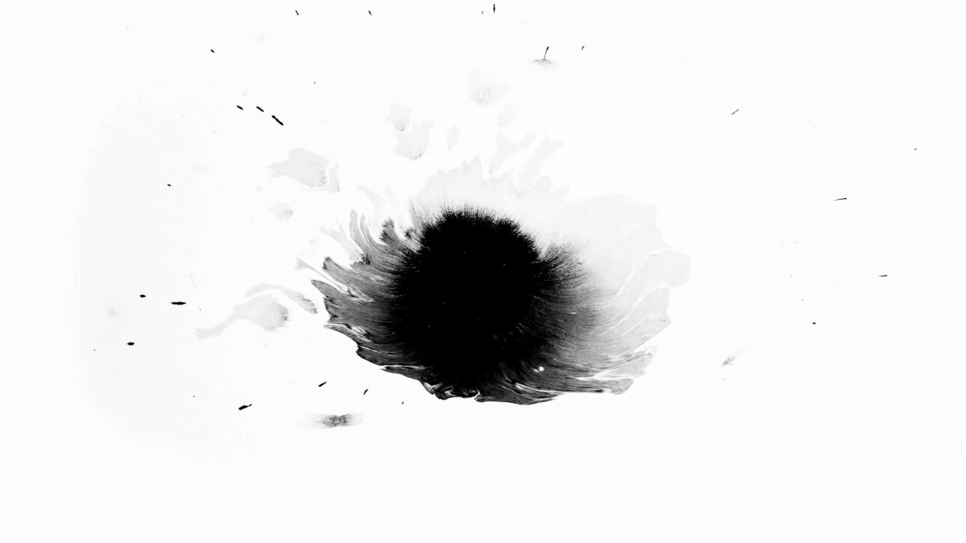 白色背景上的一滴黑色墨水在表面视频的预览图