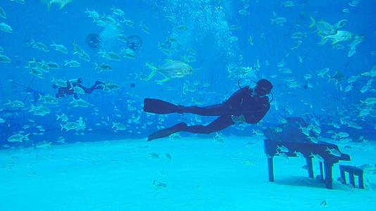4k海洋馆潜水员表演吐气泡视频的预览图