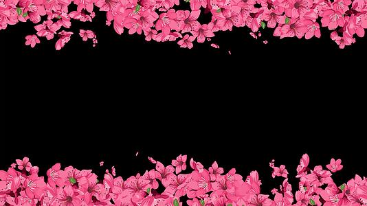 春季粉红色花瓣边框视频的预览图