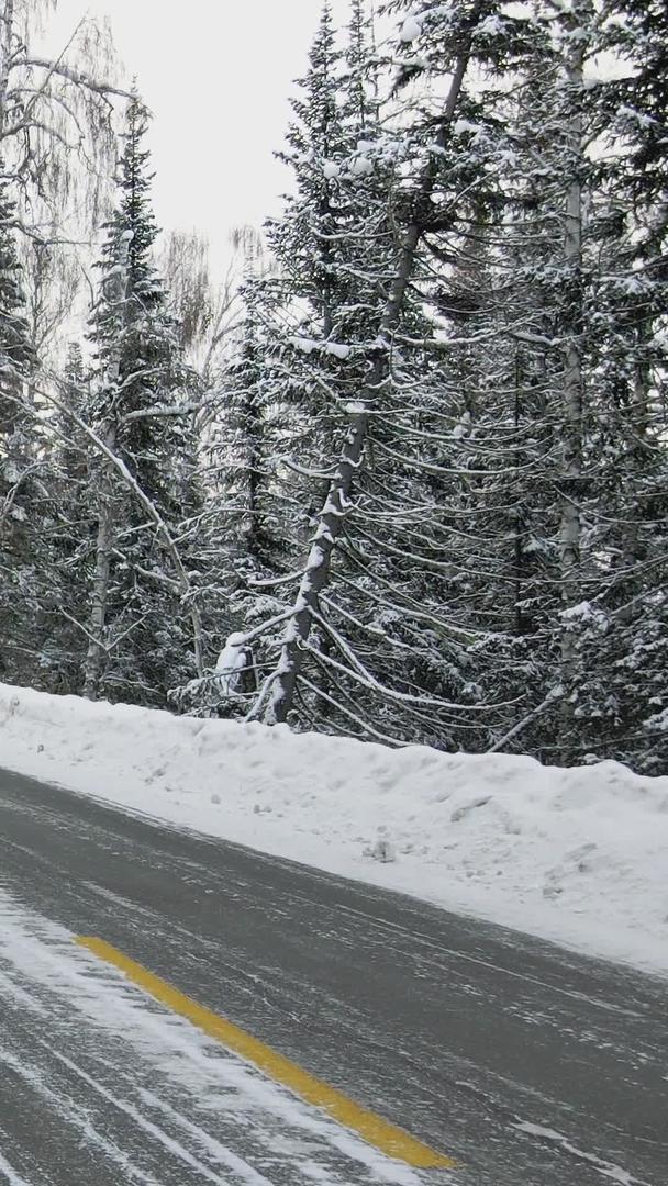 冬季雪地汽车白桦林公路视频的预览图