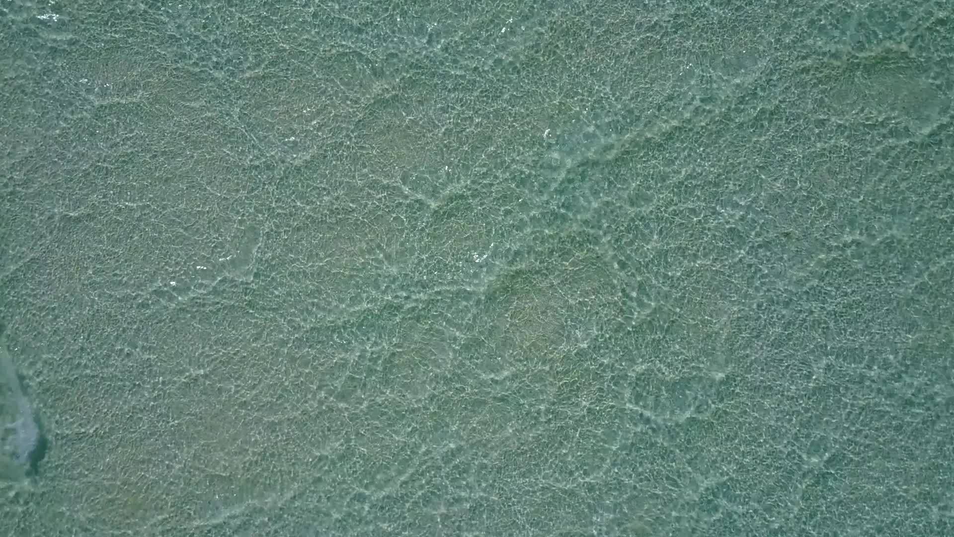 以清海和白沙为背景打破了海浪附近宁静湾海滩的温暖抽象视频的预览图