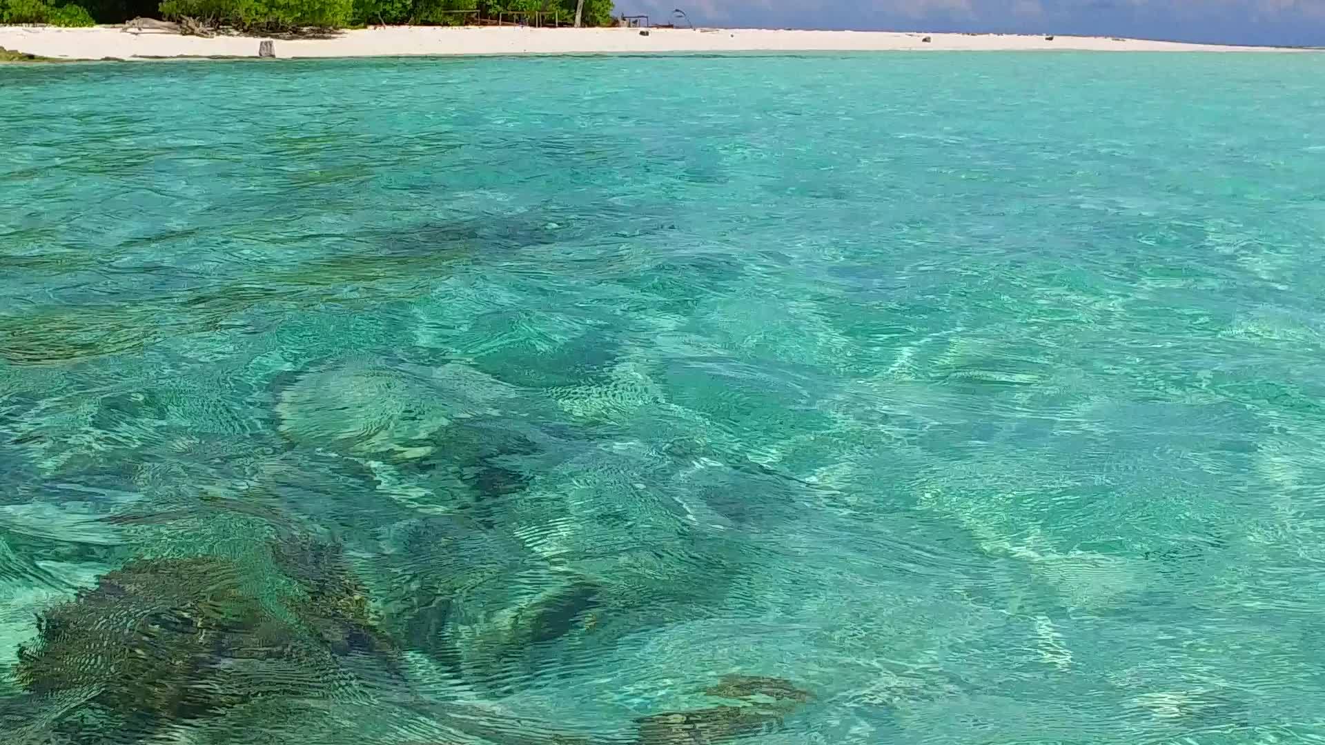 夏季旅行珊瑚礁和白色沙滩视频的预览图