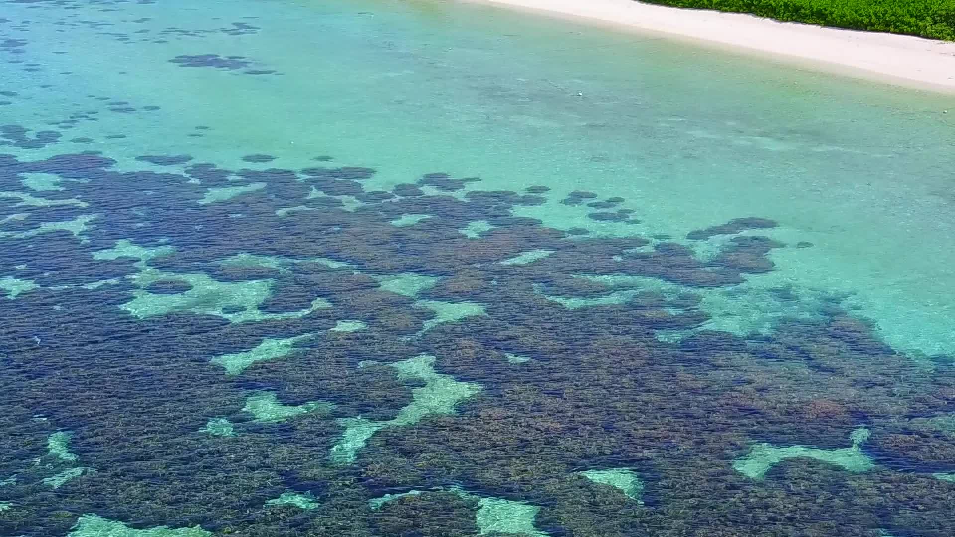 美丽的海湾海滩空荡荡的旅行在白色海滩的冲浪附近视频的预览图