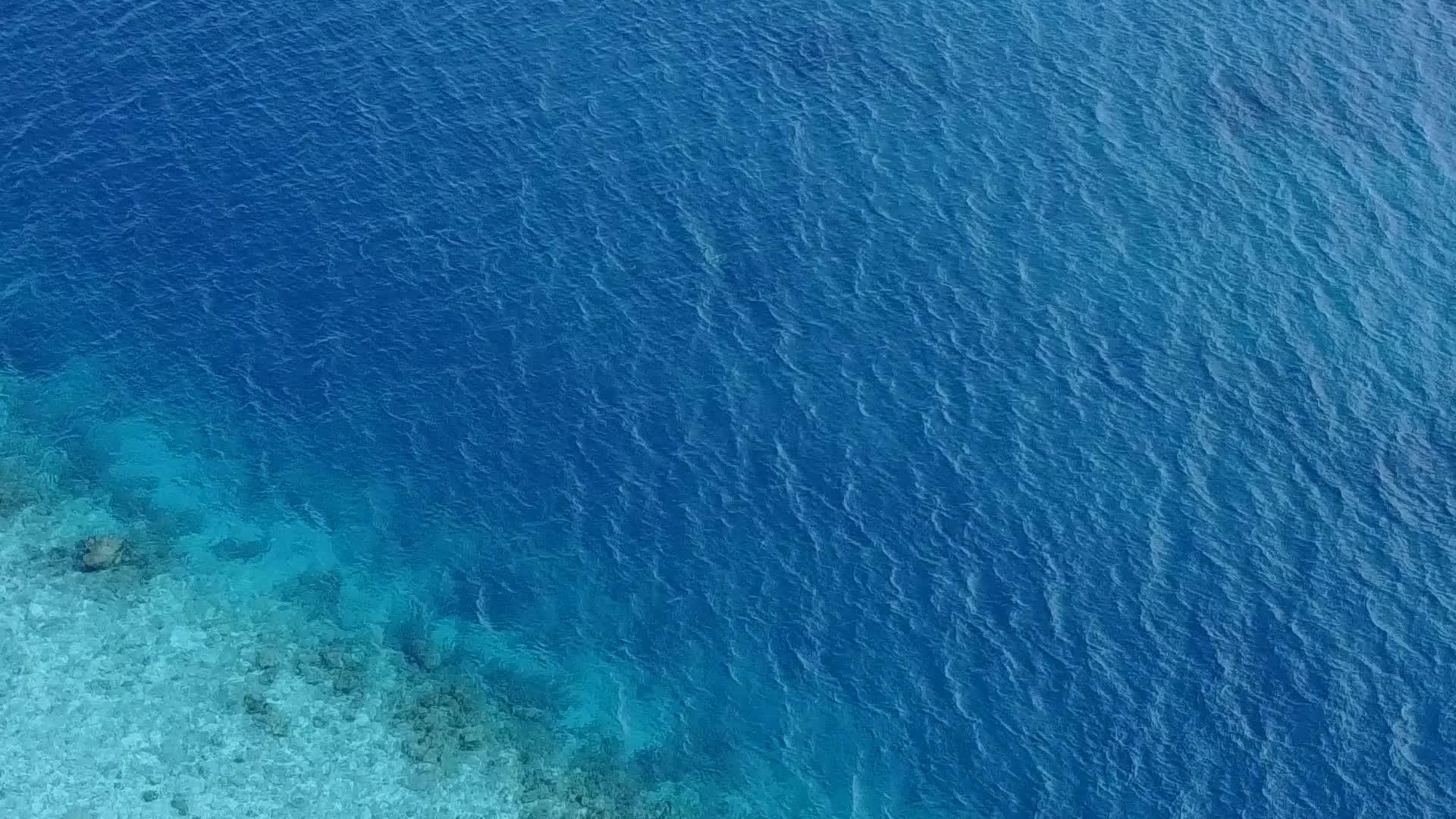 浅环礁湖豪华岛屿海滩野生生物阳光明媚海浪附近有白色海浪视频的预览图