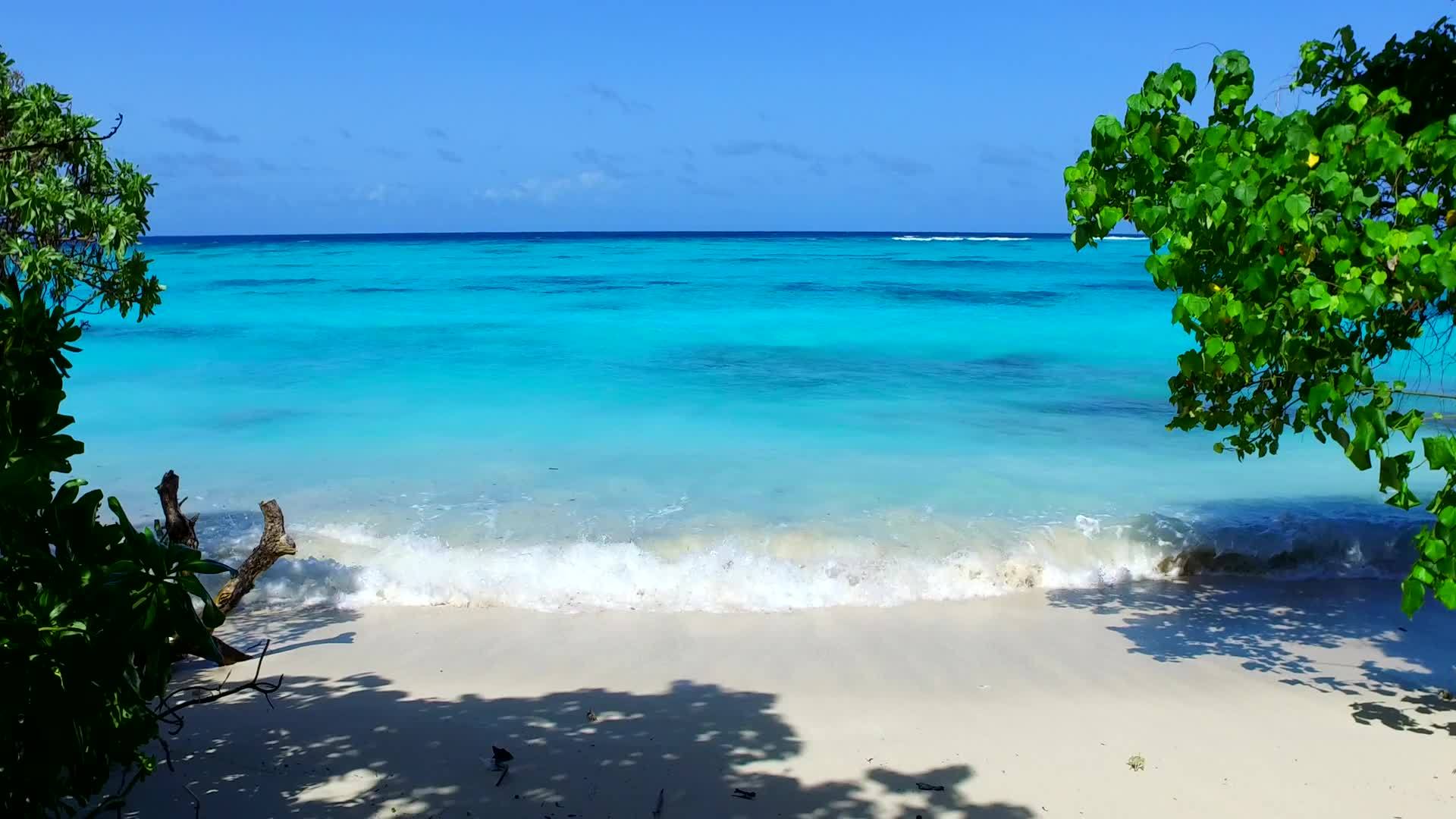 在冲浪附近的透明海洋和白沙的背景下放松海岸海滩时间视频的预览图