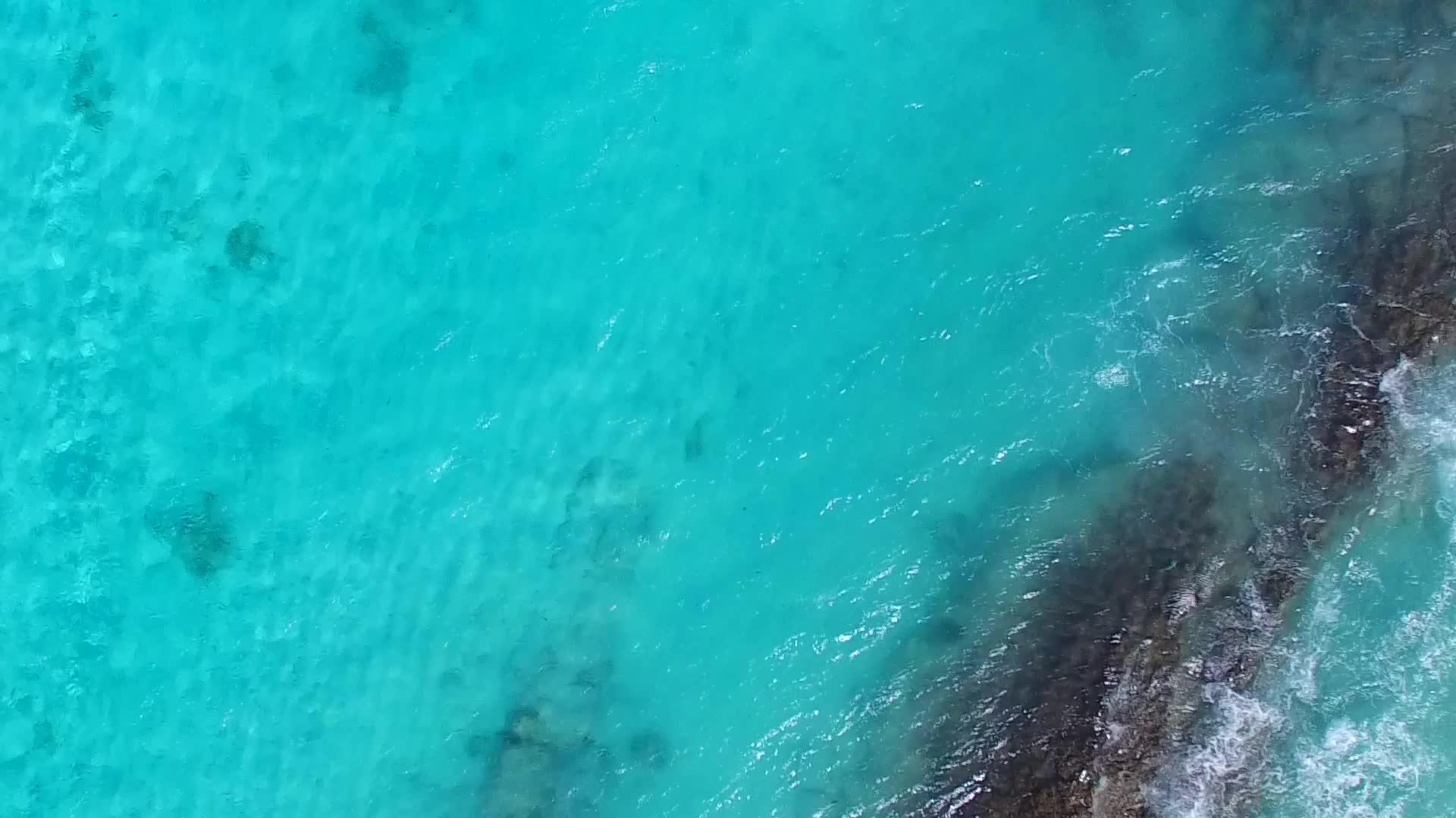 浅沙热带海和浅沙背景的浅沙热带海滩视频的预览图