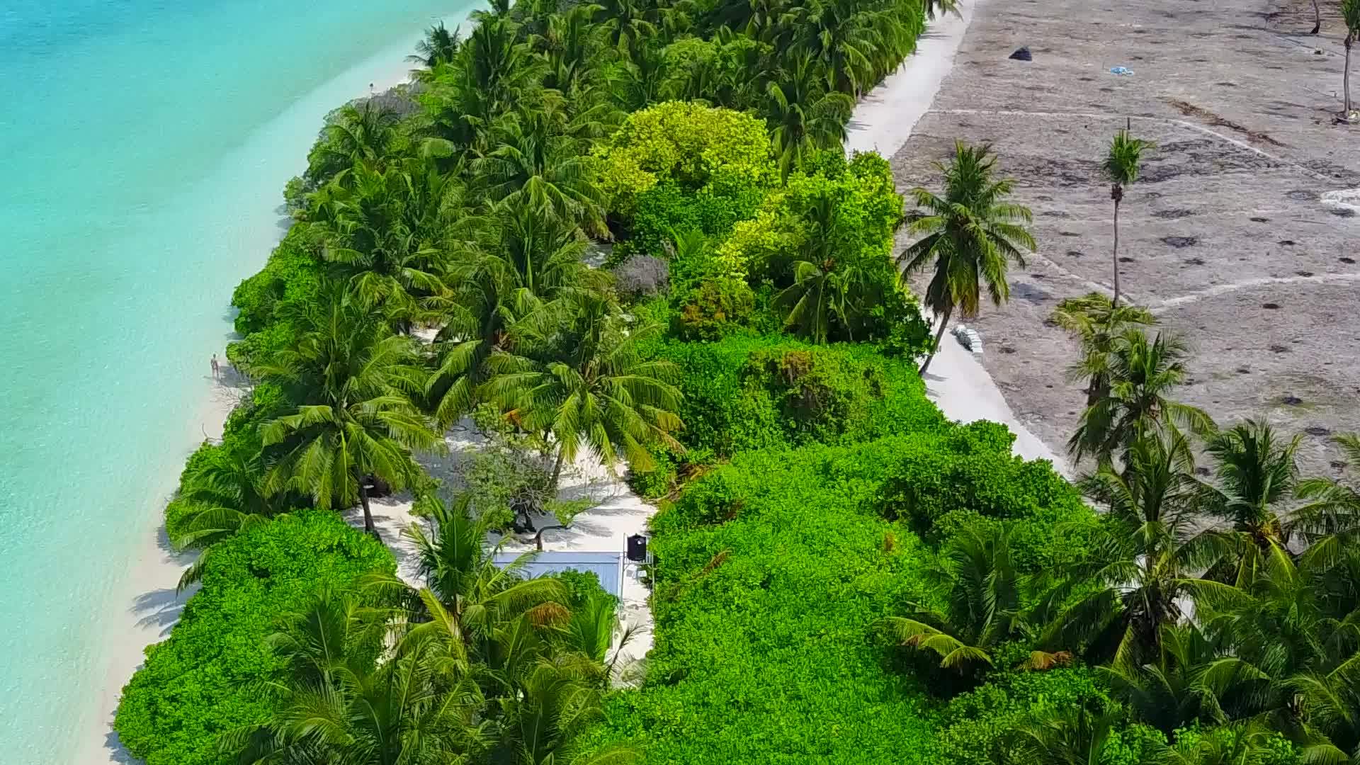 蓝色海洋环礁湖海滩野生生物的空间摘要视频的预览图