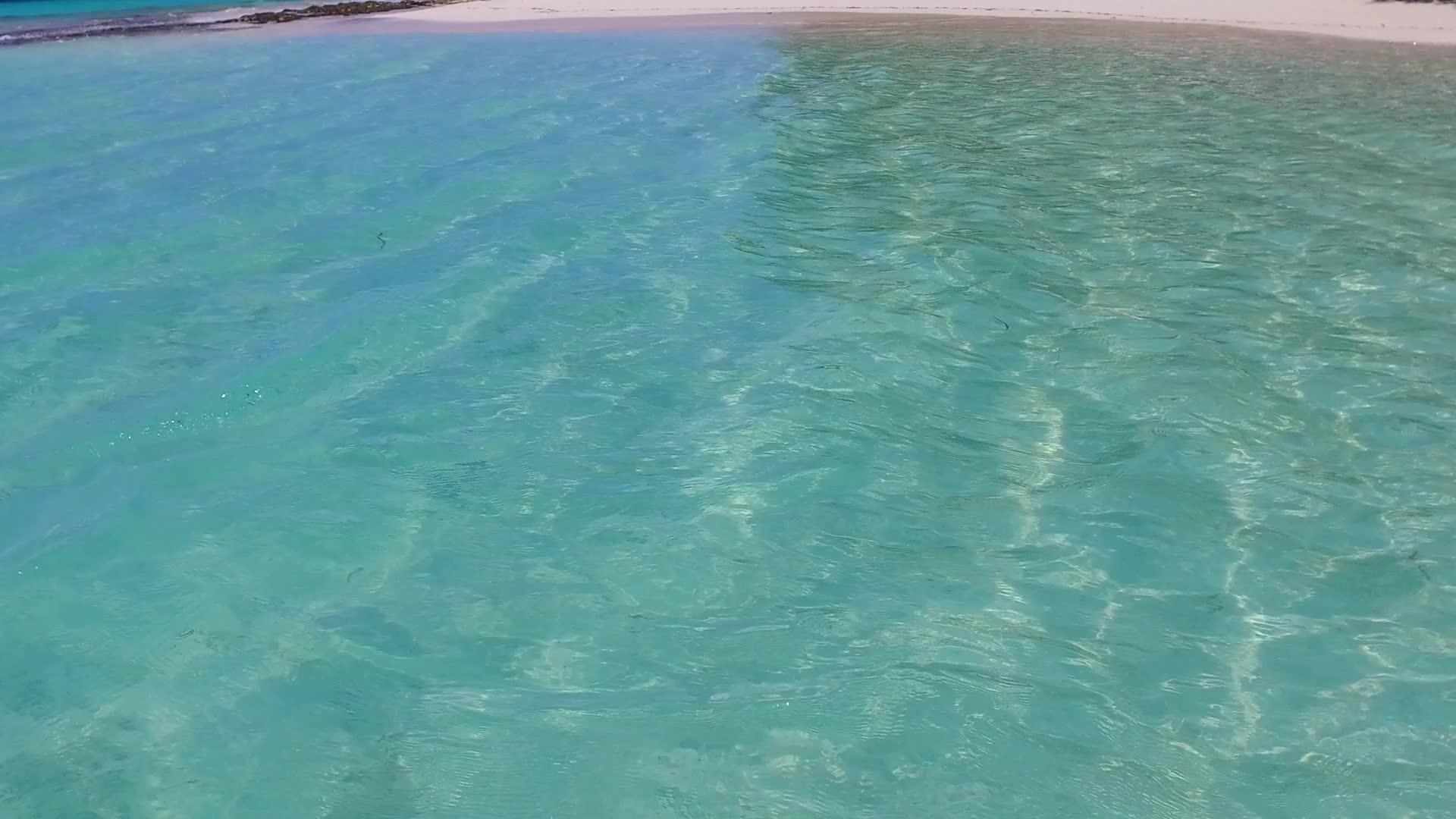 蓝环礁湖附近的棕榈视频的预览图
