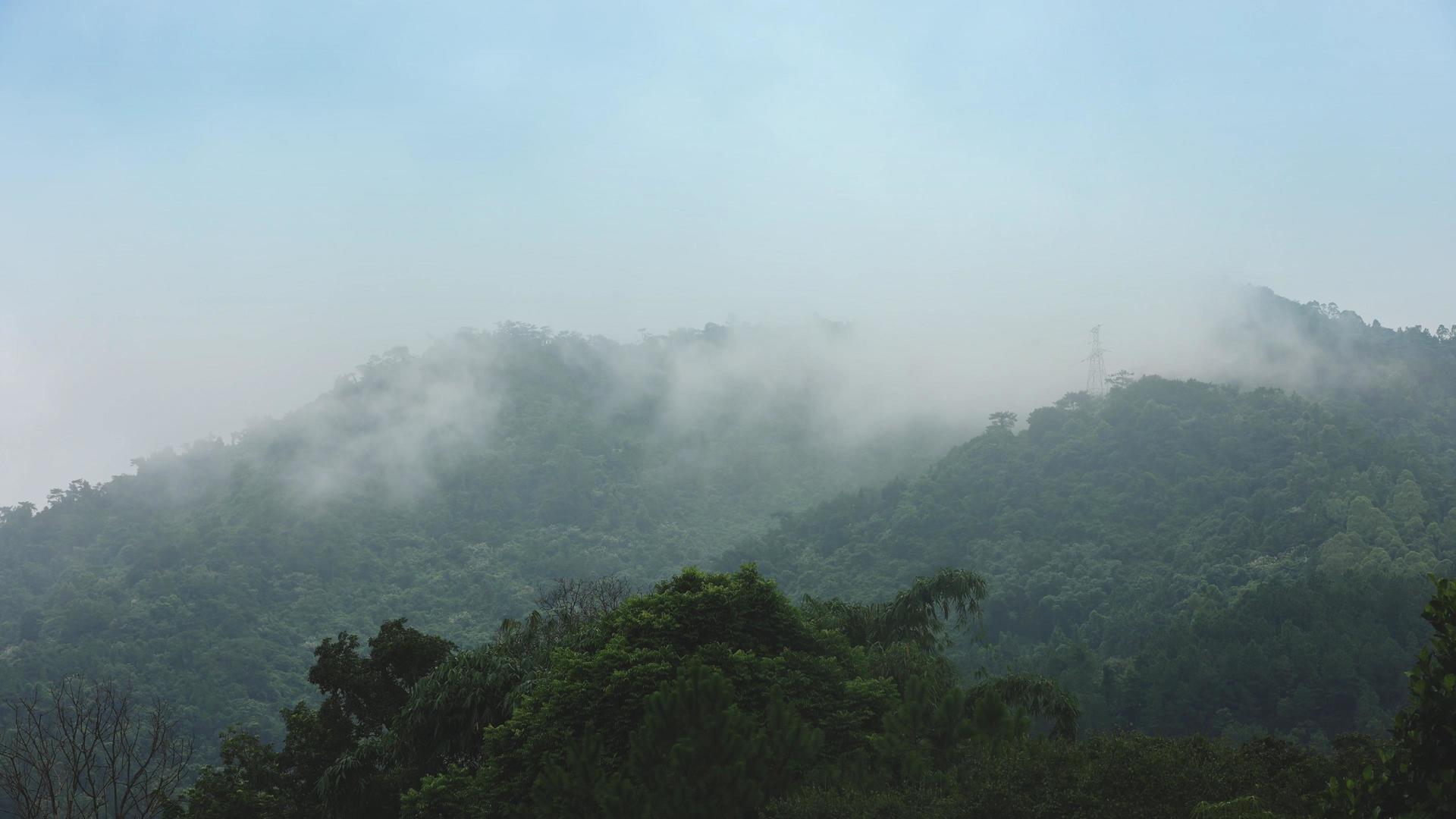 四k春天云雾缭绕辽阔森林山林实拍视频视频的预览图