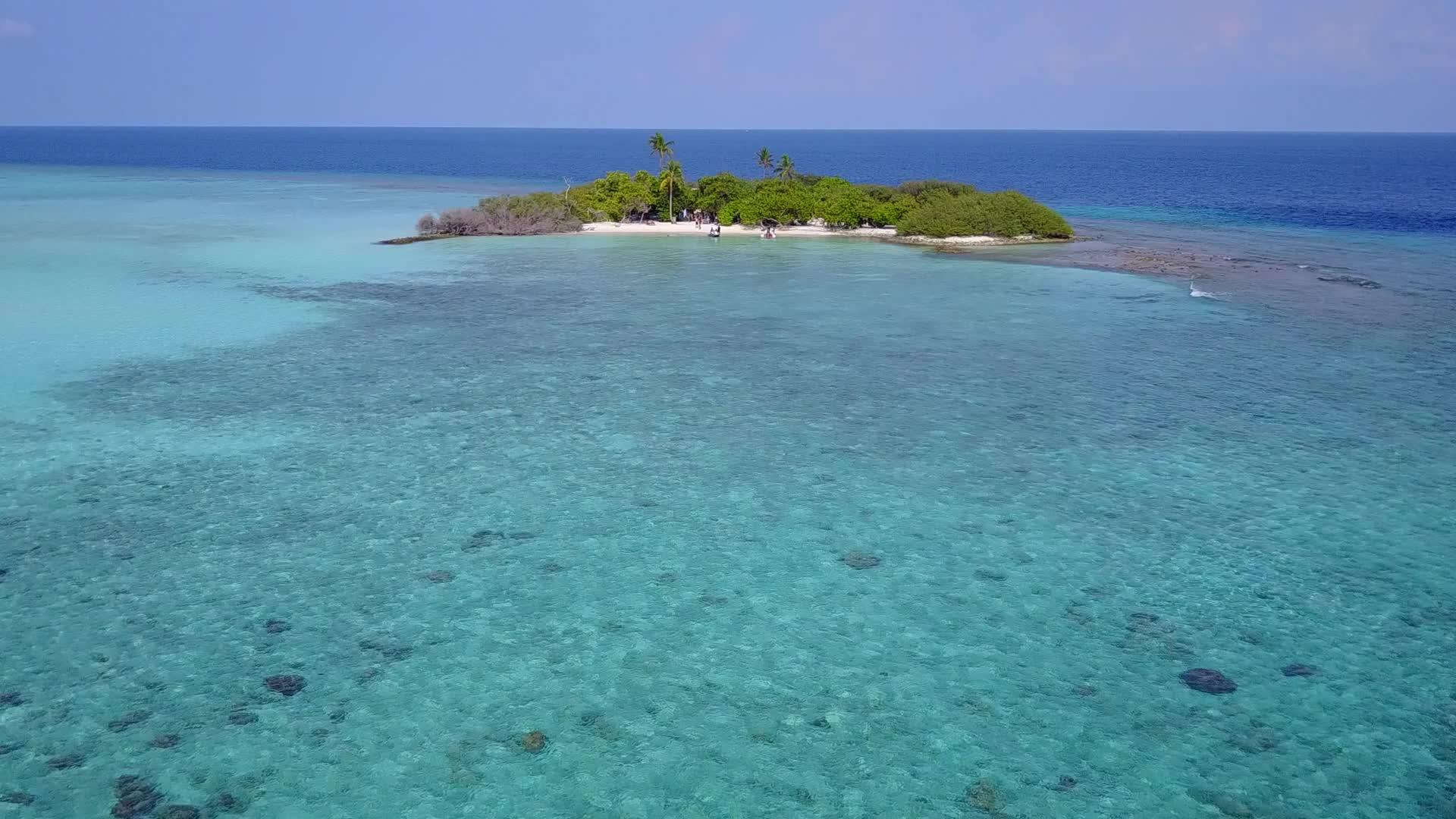 以蓝海为例浅滩野生动物的宽角全景在珊瑚礁附近视频的预览图
