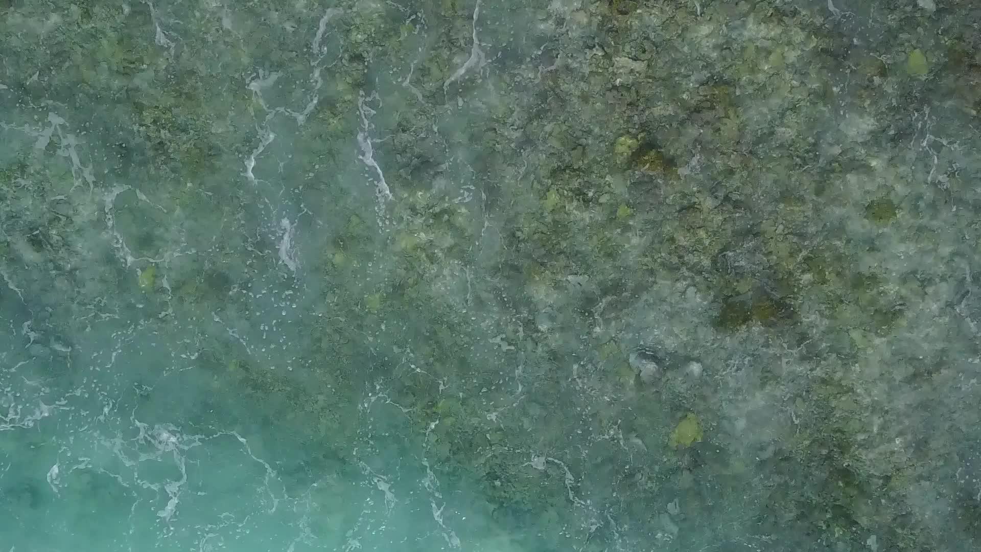 热带海湾海滩野生海滩蓝环礁和沙滩附近的白色沙底背景视频的预览图