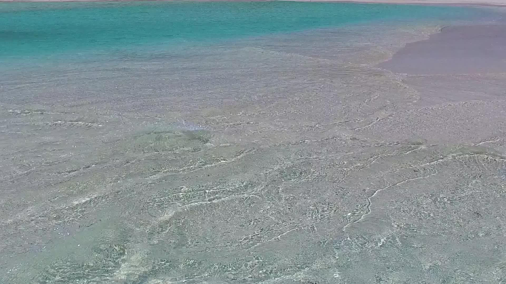 海滨旅游胜地以透明的海洋和棕榈树附近的白色沙滩为背景视频的预览图