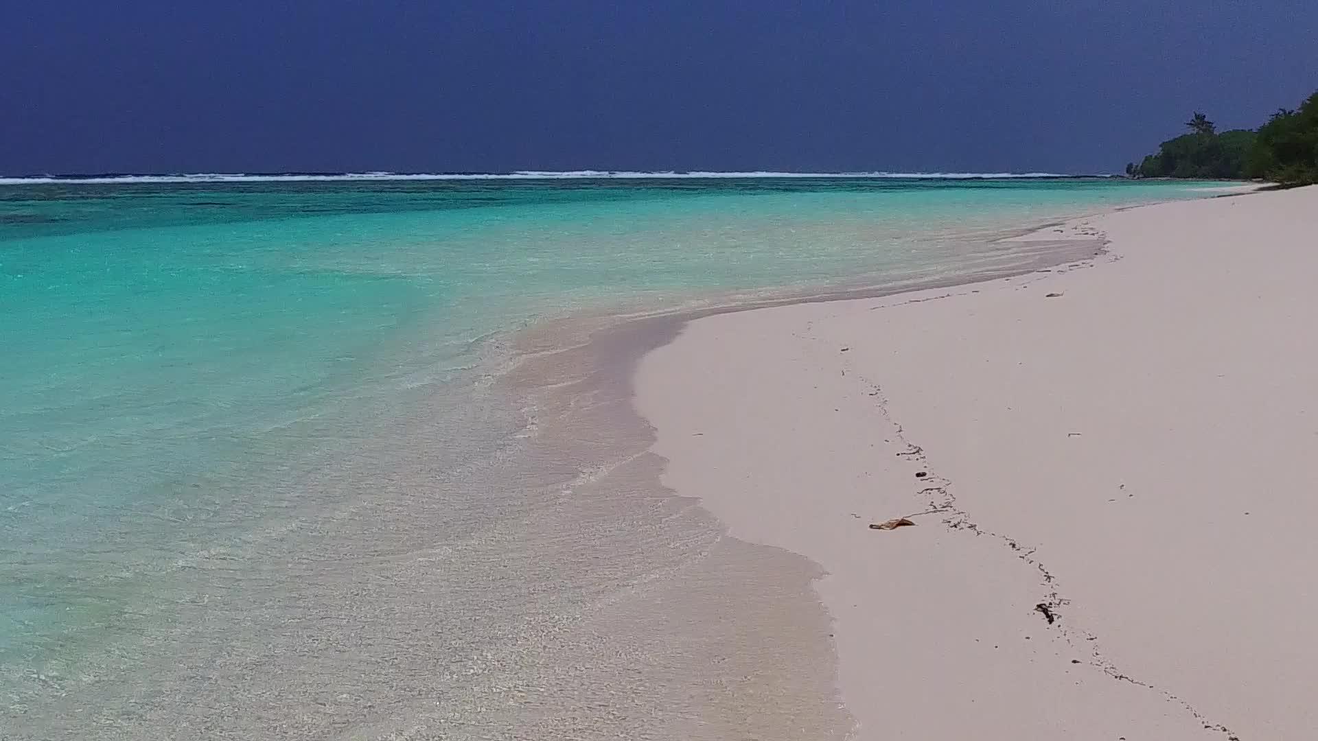 蓝水和白沙附近的棕榈树天堂度假胜地视频的预览图