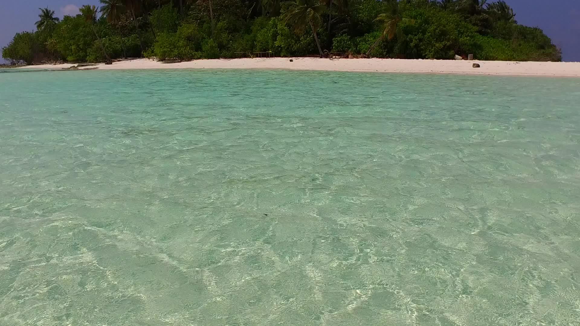 通过浅海野生生物的蓝海、白色沙底背景和附近的度假胜地观看海滩视频的预览图