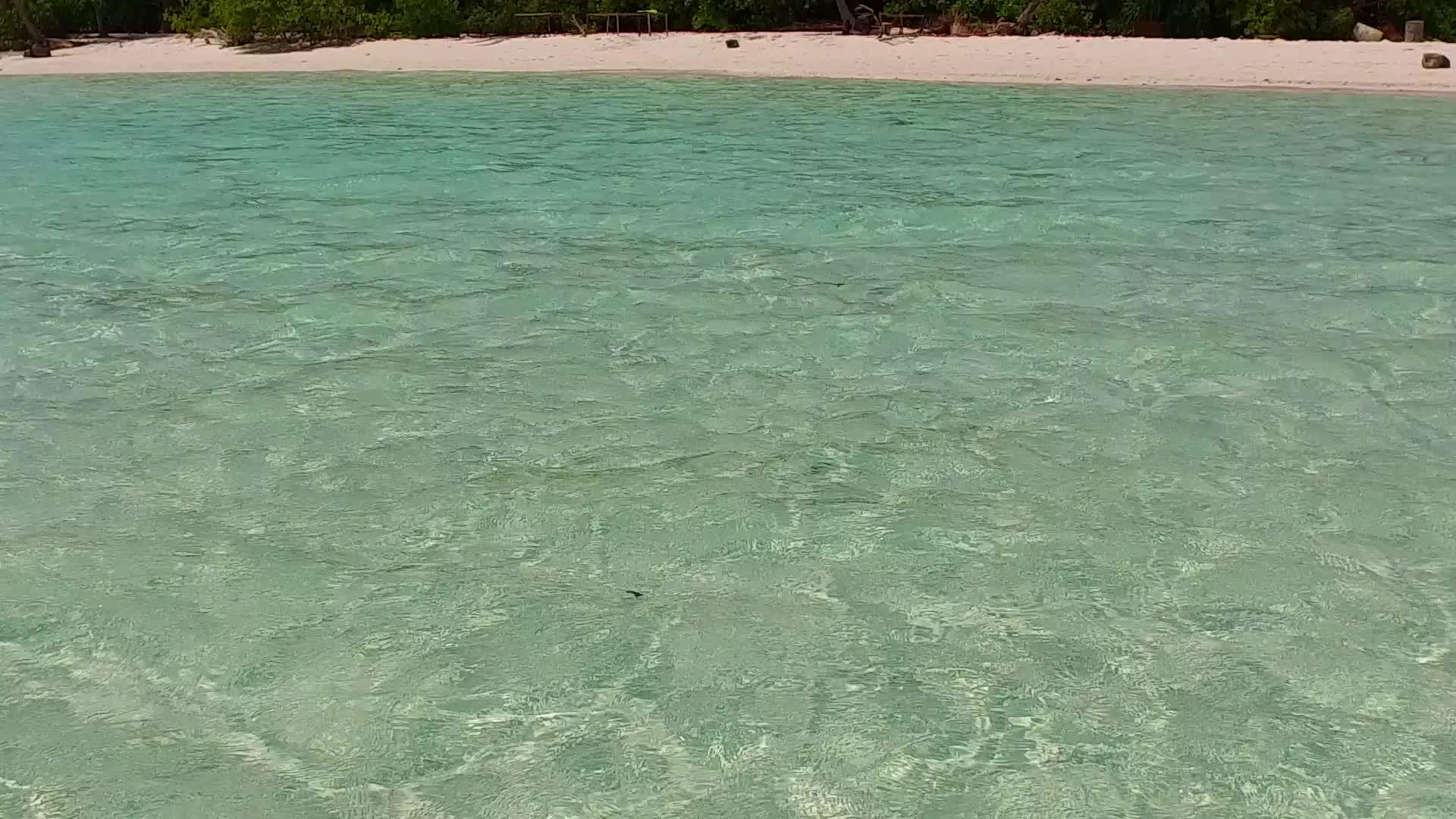 阳光明媚的海滨海滩视频的预览图