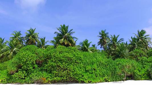 热带环礁湖海滩冒险浪漫风景蓝水白沙背景视频的预览图