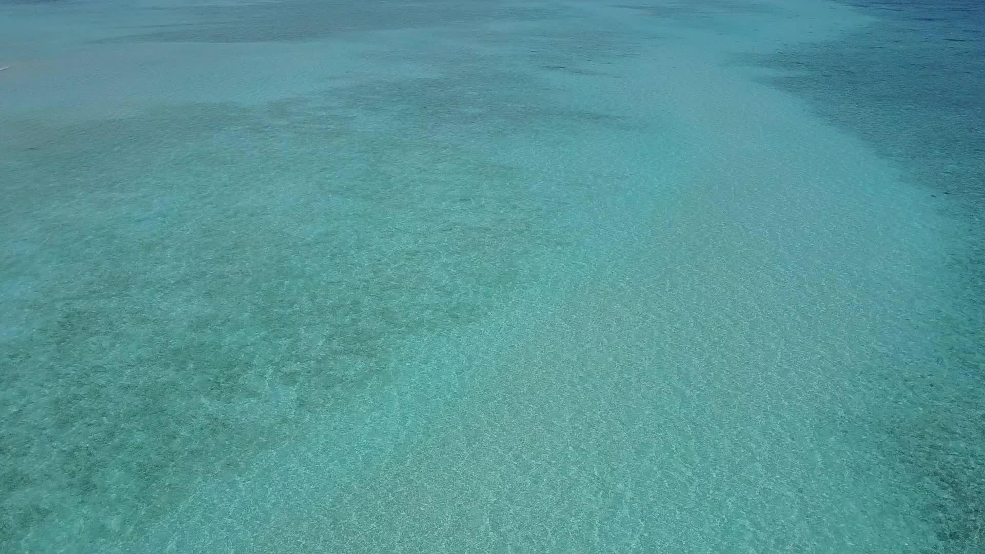 蓝海天堂湾海滩野生动物视频的预览图